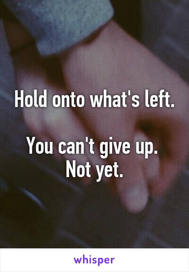 Hold onto what's left. 
You can't give up. 
Not yet.