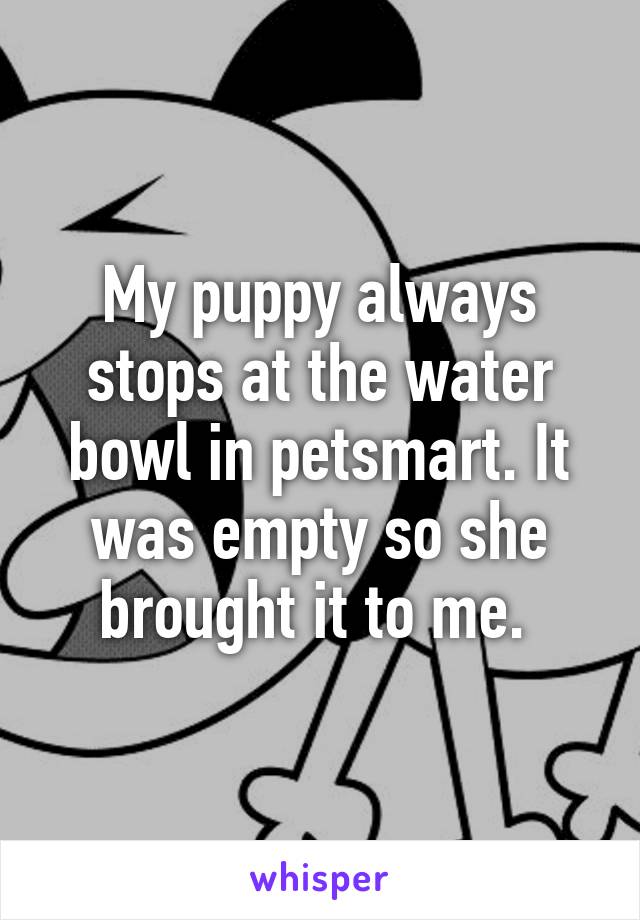 My puppy always stops at the water bowl in petsmart. It was empty so she brought it to me. 