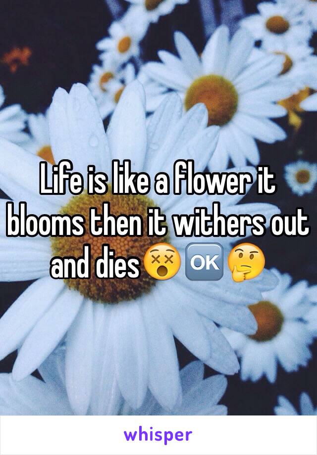 Life is like a flower it blooms then it withers out and dies😵🆗🤔