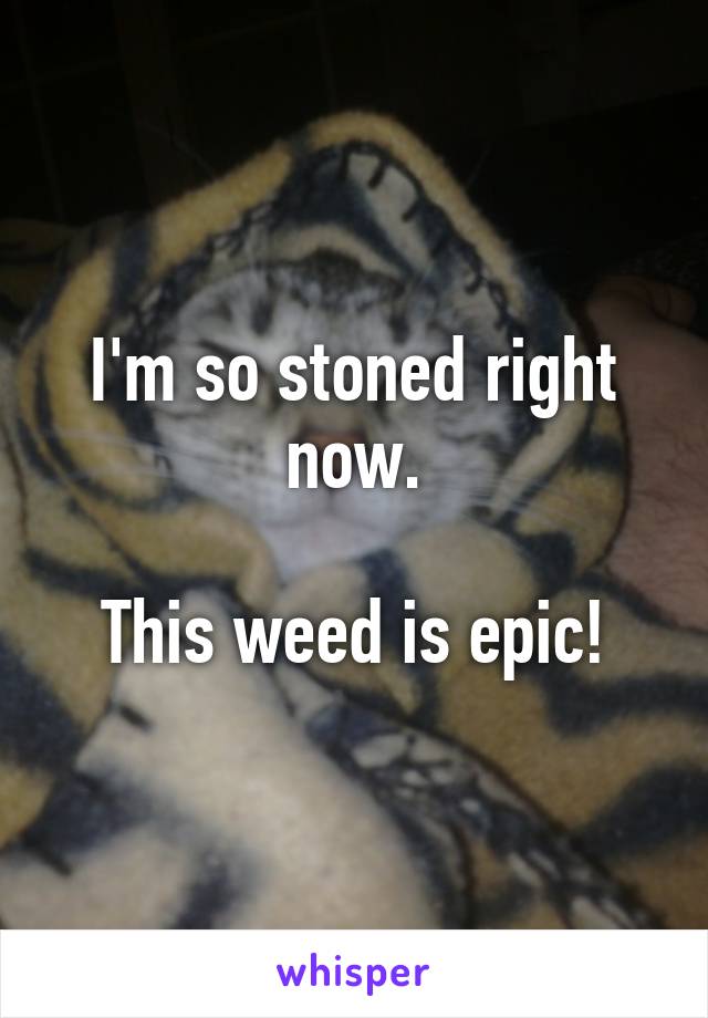 I'm so stoned right now.

This weed is epic!