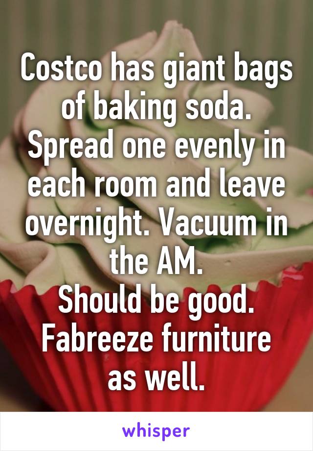 Costco has giant bags of baking soda. Spread one evenly in each room and leave overnight. Vacuum in the AM.
Should be good.
Fabreeze furniture as well.