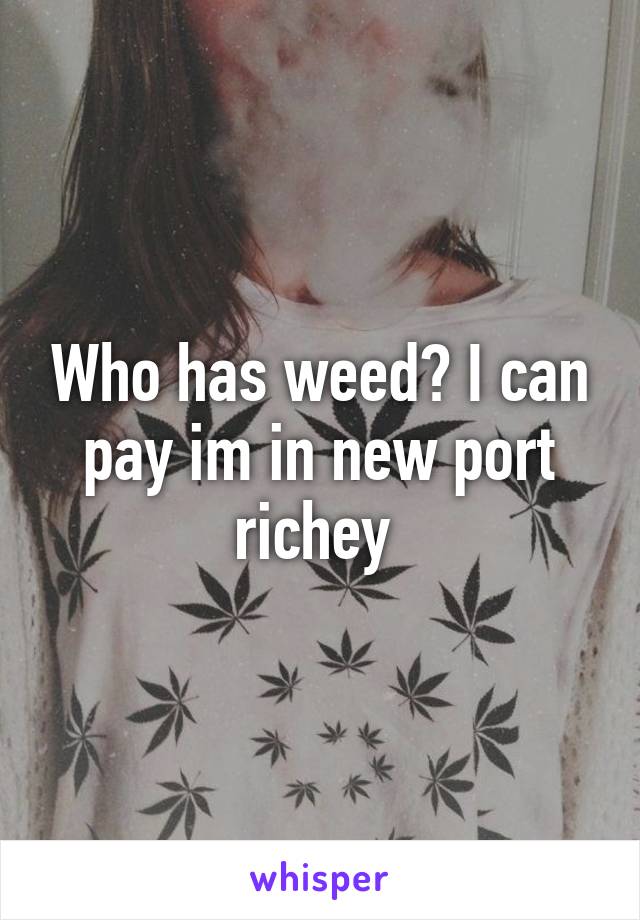 Who has weed? I can pay im in new port richey 