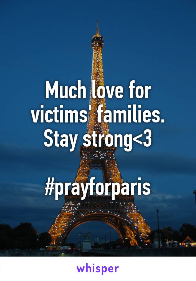 Much love for victims' families. Stay strong<3

#prayforparis