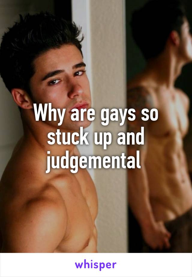 Why are gays so stuck up and judgemental 