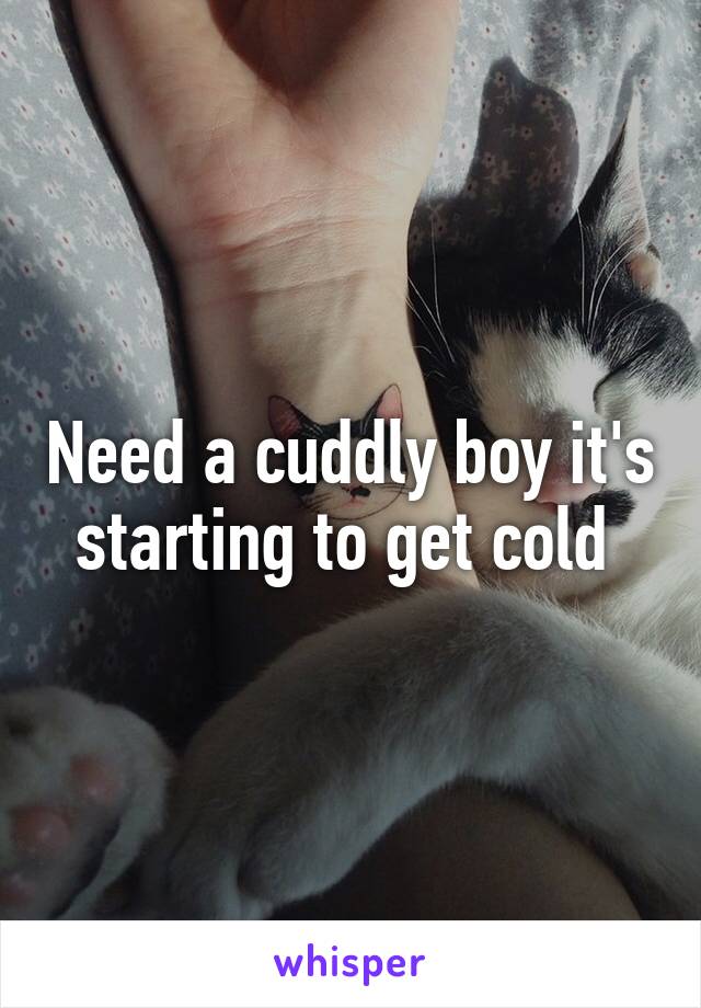 Need a cuddly boy it's starting to get cold 