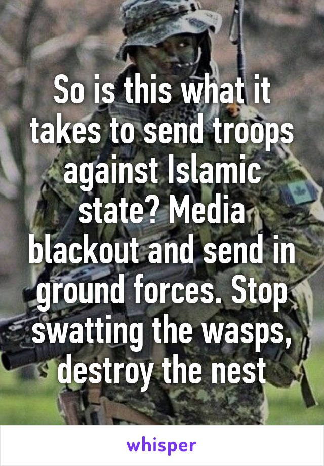 So is this what it takes to send troops against Islamic state? Media blackout and send in ground forces. Stop swatting the wasps, destroy the nest