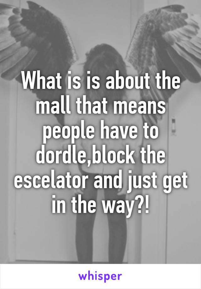 What is is about the mall that means people have to dordle,block the escelator and just get in the way?!