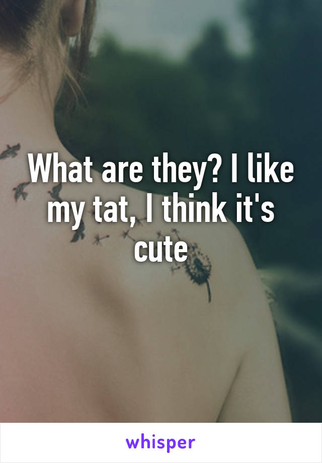 What are they? I like my tat, I think it's cute
 