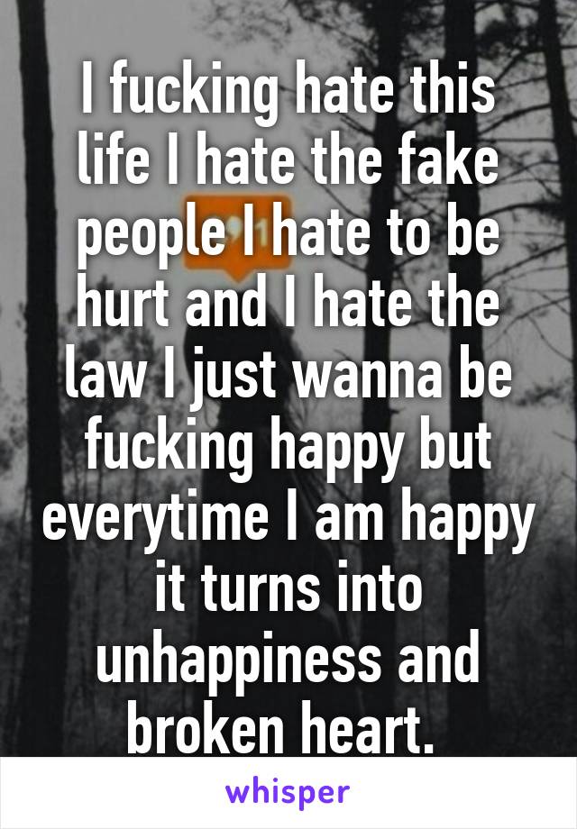 I fucking hate this life I hate the fake people I hate to be hurt and I hate the law I just wanna be fucking happy but everytime I am happy it turns into unhappiness and broken heart. 