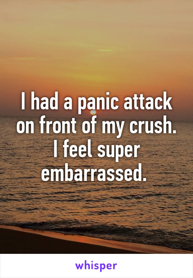 I had a panic attack on front of my crush. I feel super embarrassed. 