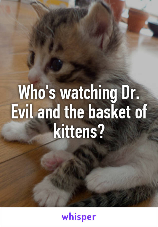 Who's watching Dr. Evil and the basket of kittens?