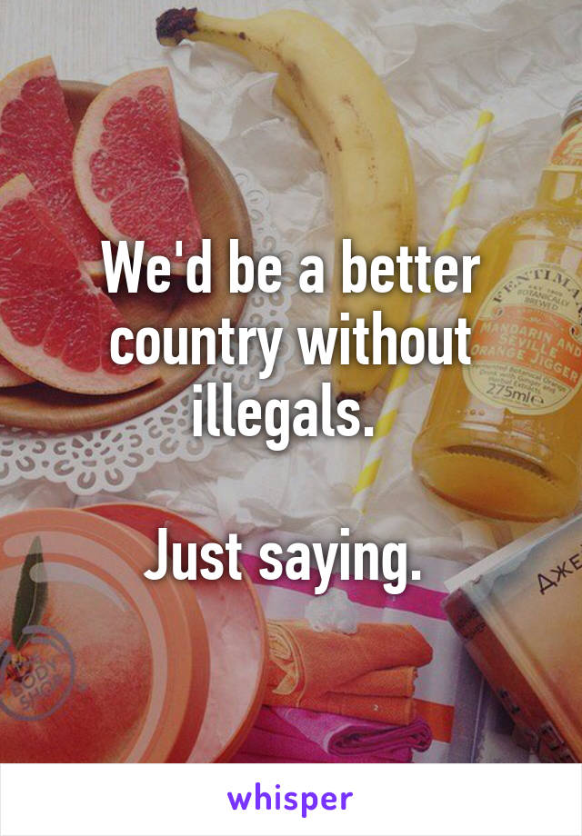 We'd be a better country without illegals. 

Just saying. 