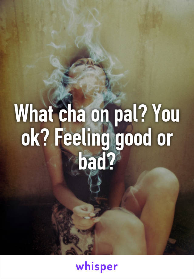 What cha on pal? You ok? Feeling good or bad?