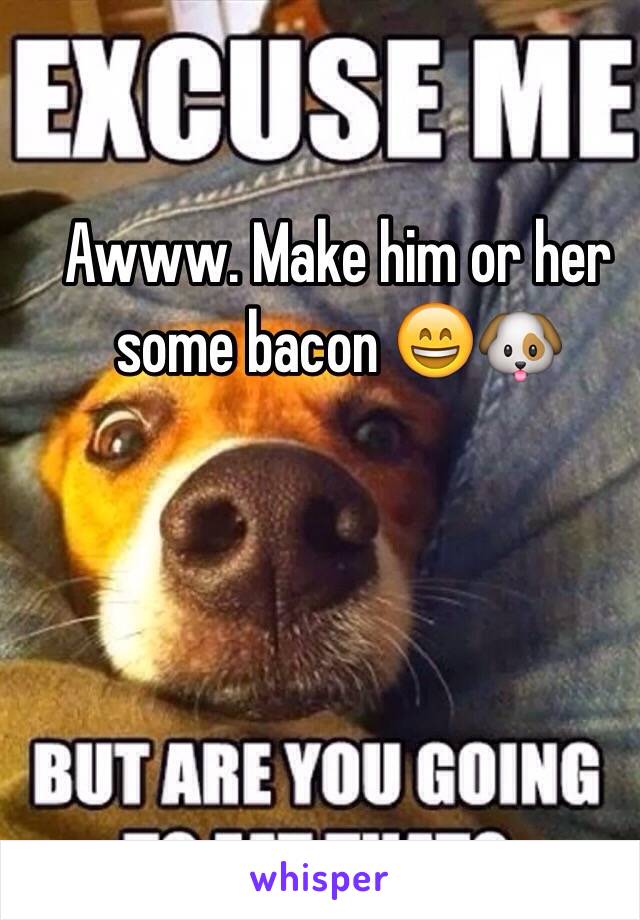 Awww. Make him or her some bacon 😄🐶