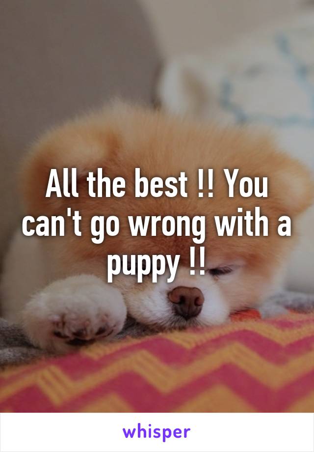 All the best !! You can't go wrong with a puppy !!