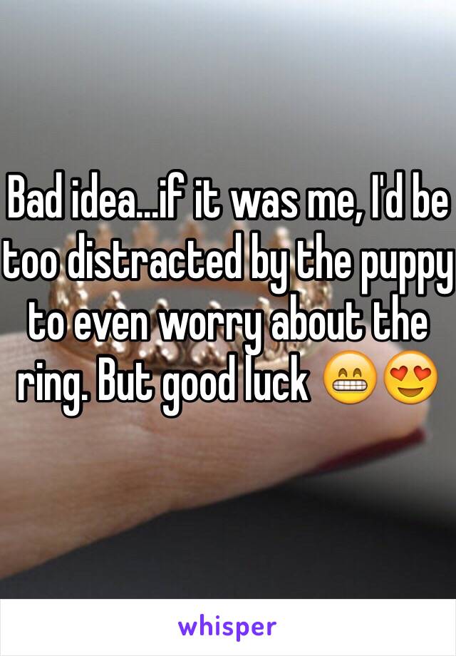 Bad idea...if it was me, I'd be too distracted by the puppy to even worry about the ring. But good luck 😁😍