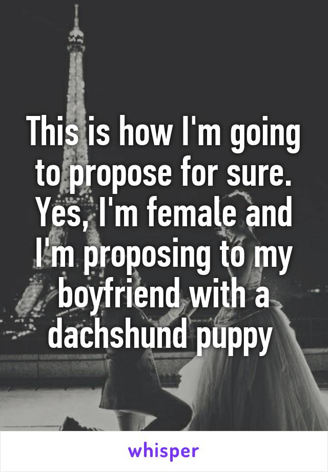 This is how I'm going to propose for sure. Yes, I'm female and I'm proposing to my boyfriend with a dachshund puppy 