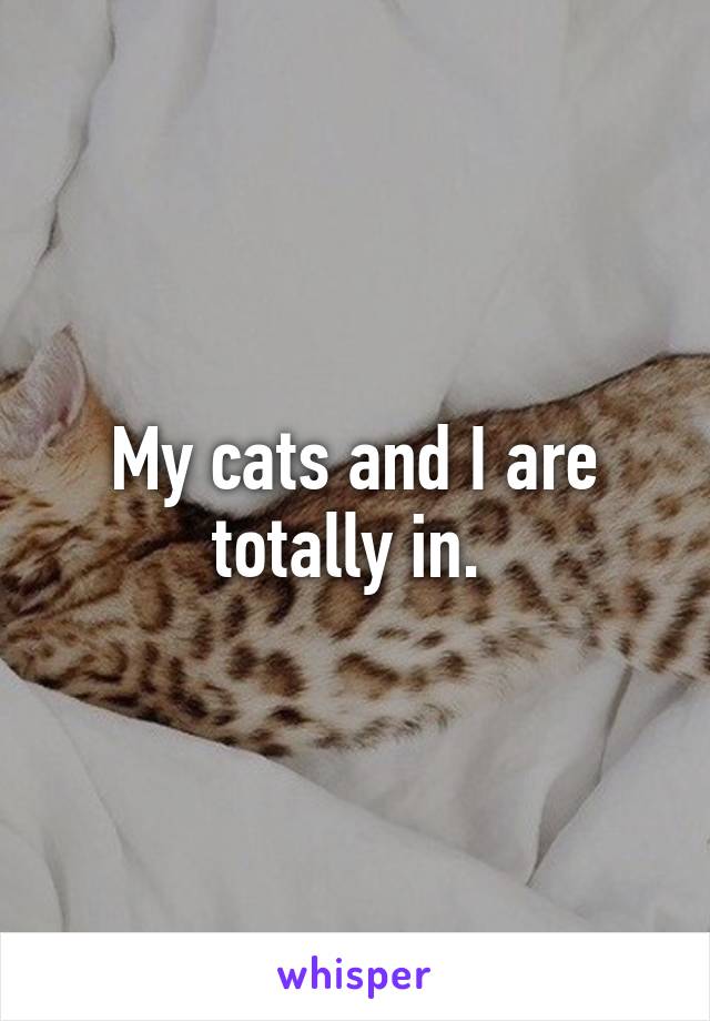 My cats and I are totally in. 