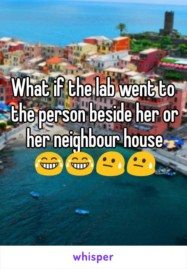 What if the lab went to the person beside her or her neighbour house 😂😂😓😓