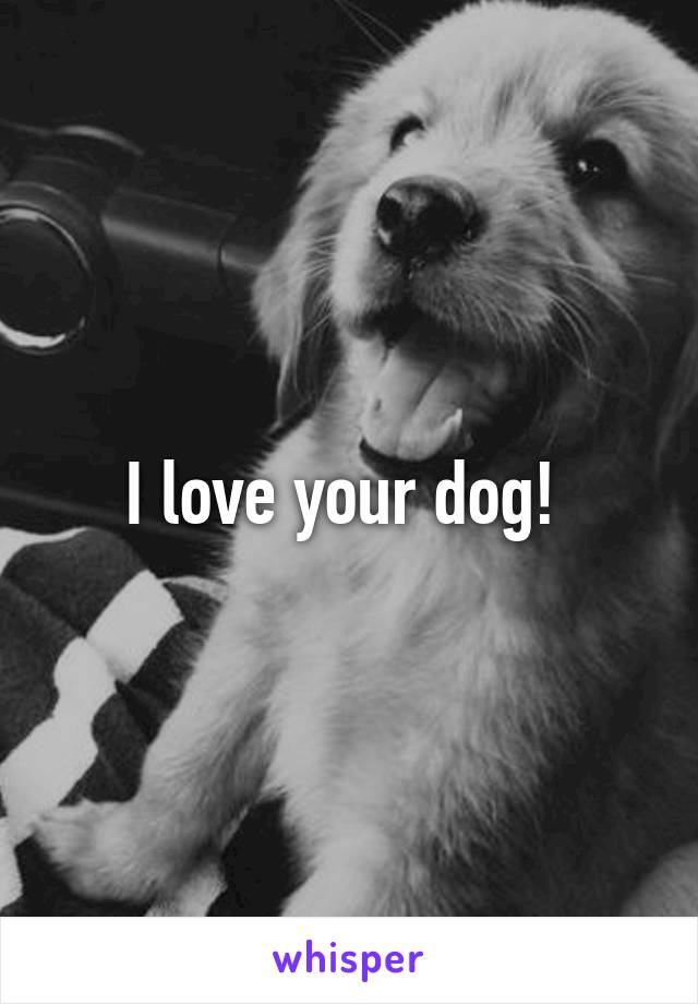 I love your dog! 
