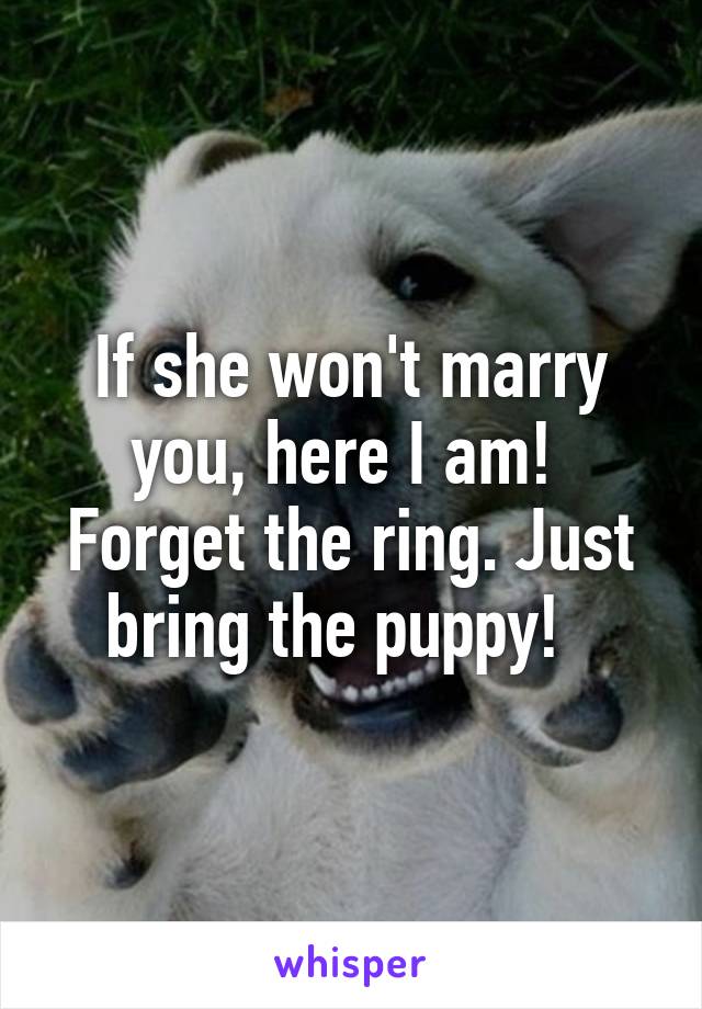 If she won't marry you, here I am!  Forget the ring. Just bring the puppy!  