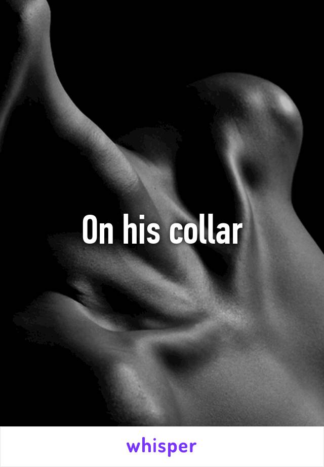 On his collar