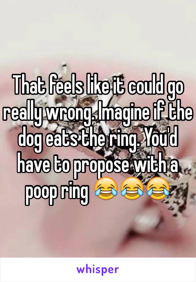 That feels like it could go really wrong. Imagine if the dog eats the ring. You'd have to propose with a poop ring 😂😂😂