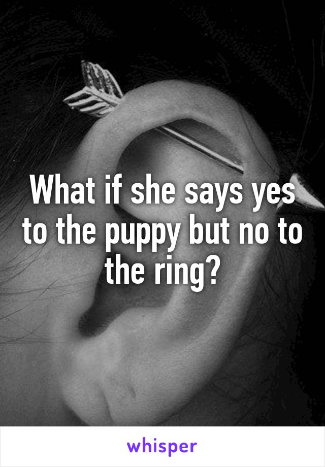 What if she says yes to the puppy but no to the ring?