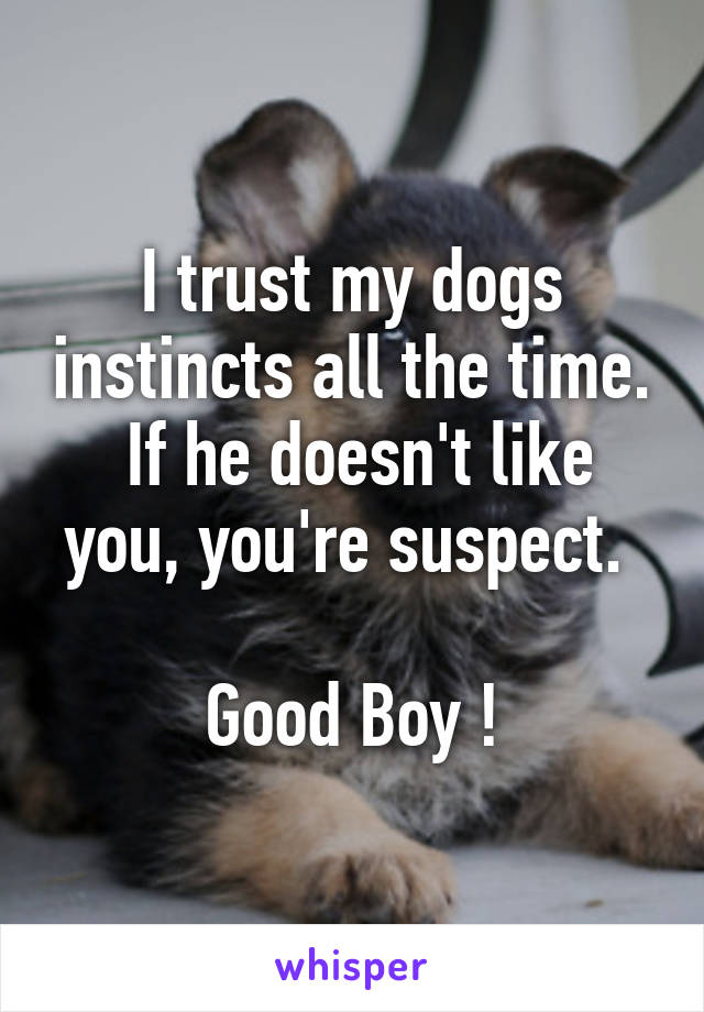 I trust my dogs instincts all the time.  If he doesn't like you, you're suspect. 

Good Boy !