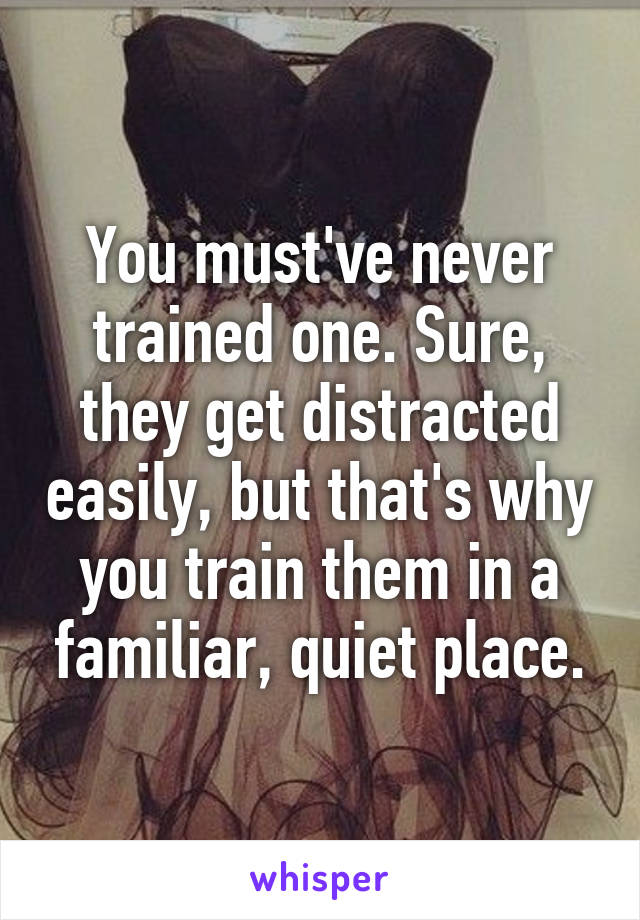 You must've never trained one. Sure, they get distracted easily, but that's why you train them in a familiar, quiet place.