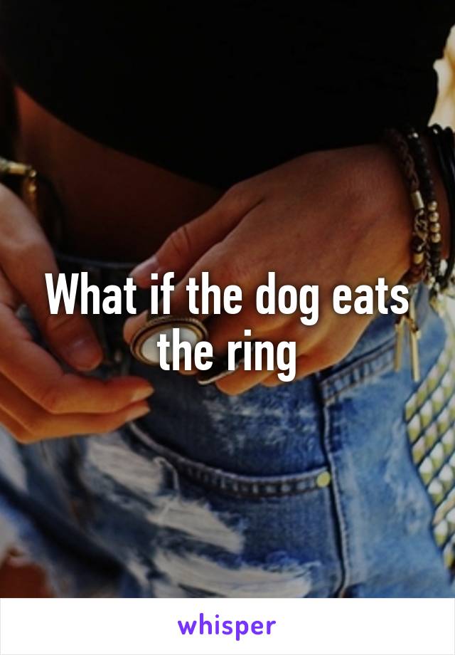 What if the dog eats the ring