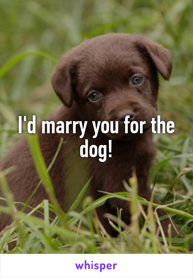 I'd marry you for the dog!