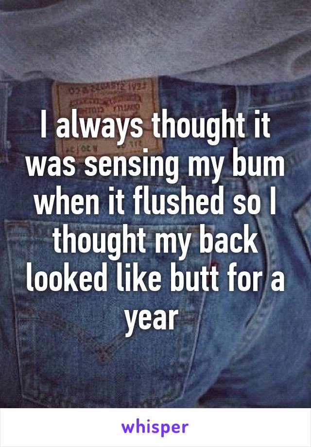 I always thought it was sensing my bum when it flushed so I thought my back looked like butt for a year 