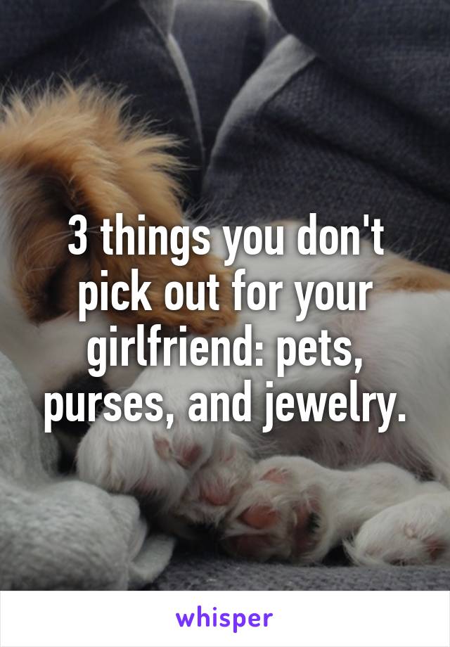 3 things you don't pick out for your girlfriend: pets, purses, and jewelry.