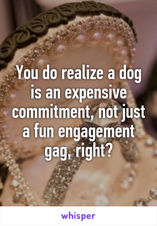You do realize a dog is an expensive commitment, not just a fun engagement gag, right?