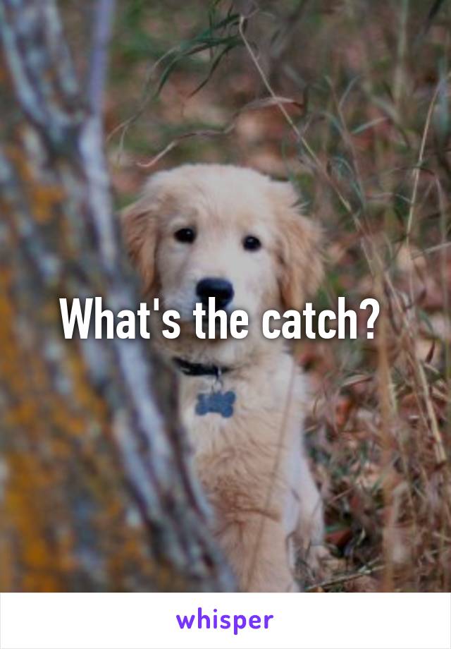 What's the catch? 