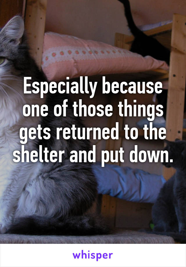Especially because one of those things gets returned to the shelter and put down. 