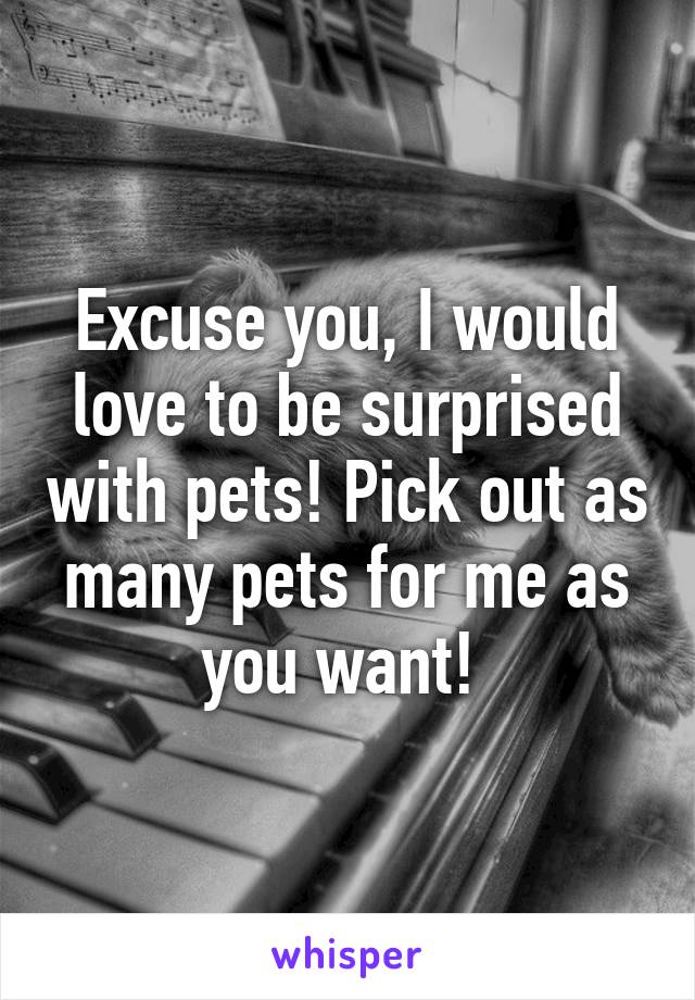 Excuse you, I would love to be surprised with pets! Pick out as many pets for me as you want! 