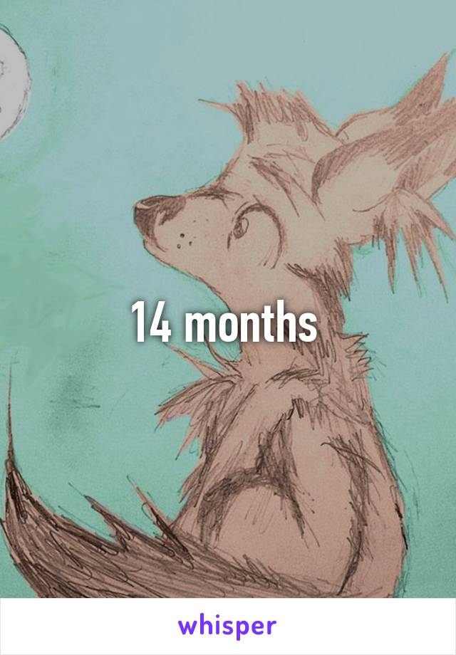 14 months 