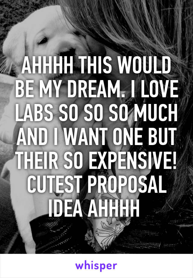 AHHHH THIS WOULD BE MY DREAM. I LOVE LABS SO SO SO MUCH AND I WANT ONE BUT THEIR SO EXPENSIVE! CUTEST PROPOSAL IDEA AHHHH 