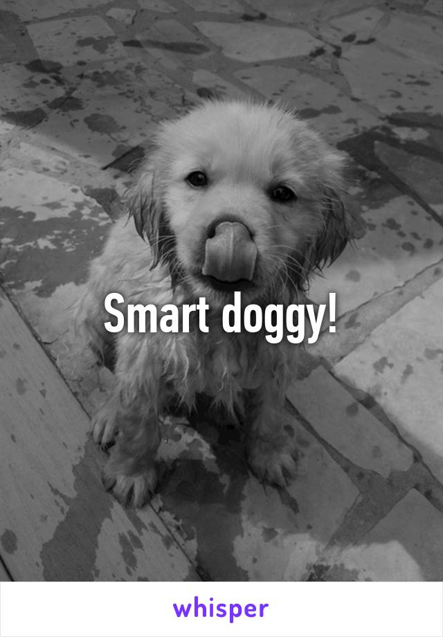 Smart doggy!