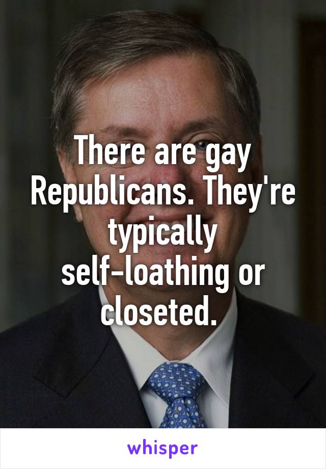 There are gay Republicans. They're typically self-loathing or closeted. 