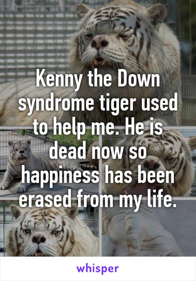 Kenny the Down syndrome tiger used to help me. He is dead now so happiness has been erased from my life.