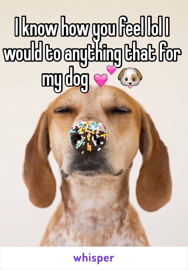 I know how you feel lol I would to anything that for my dog 💕🐶