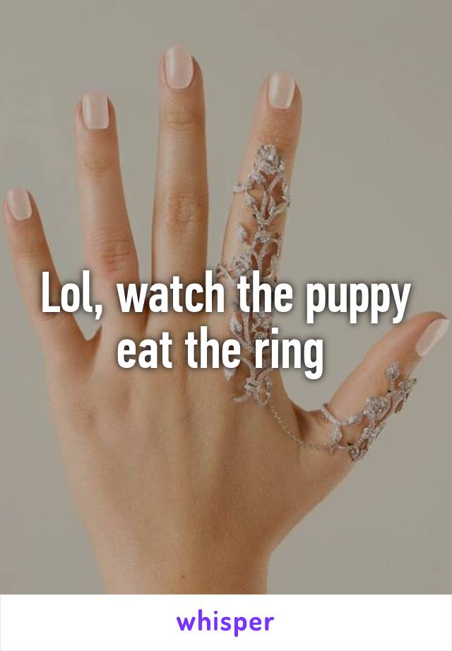 Lol, watch the puppy eat the ring 