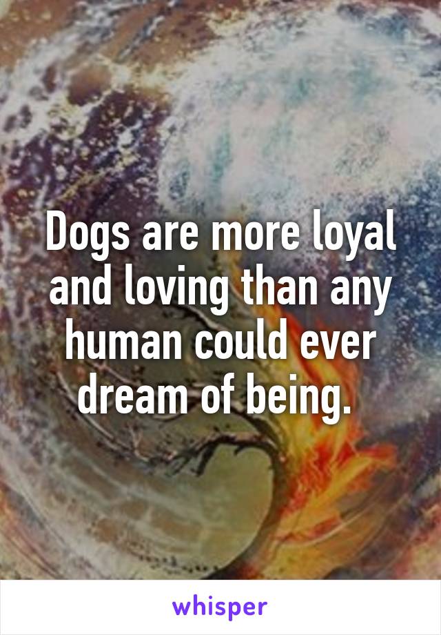 Dogs are more loyal and loving than any human could ever dream of being. 