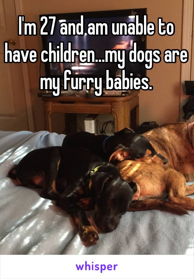 I'm 27 and am unable to have children...my dogs are my furry babies.