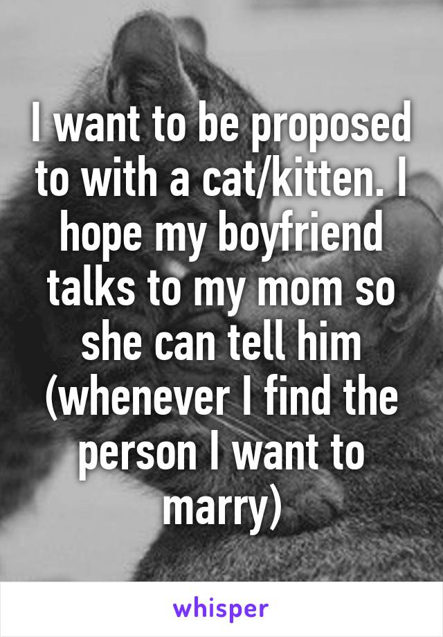 I want to be proposed to with a cat/kitten. I hope my boyfriend talks to my mom so she can tell him (whenever I find the person I want to marry)