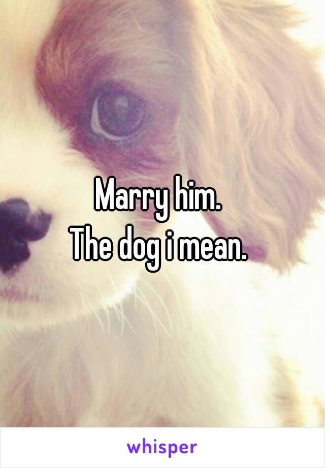 Marry him. 
The dog i mean. 