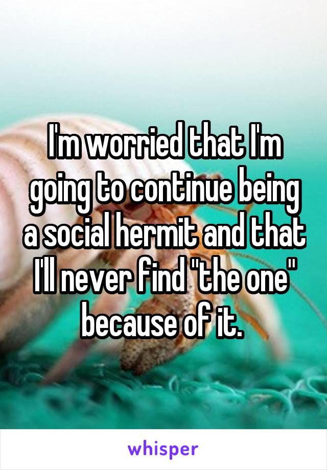 I'm worried that I'm going to continue being a social hermit and that I'll never find "the one" because of it. 